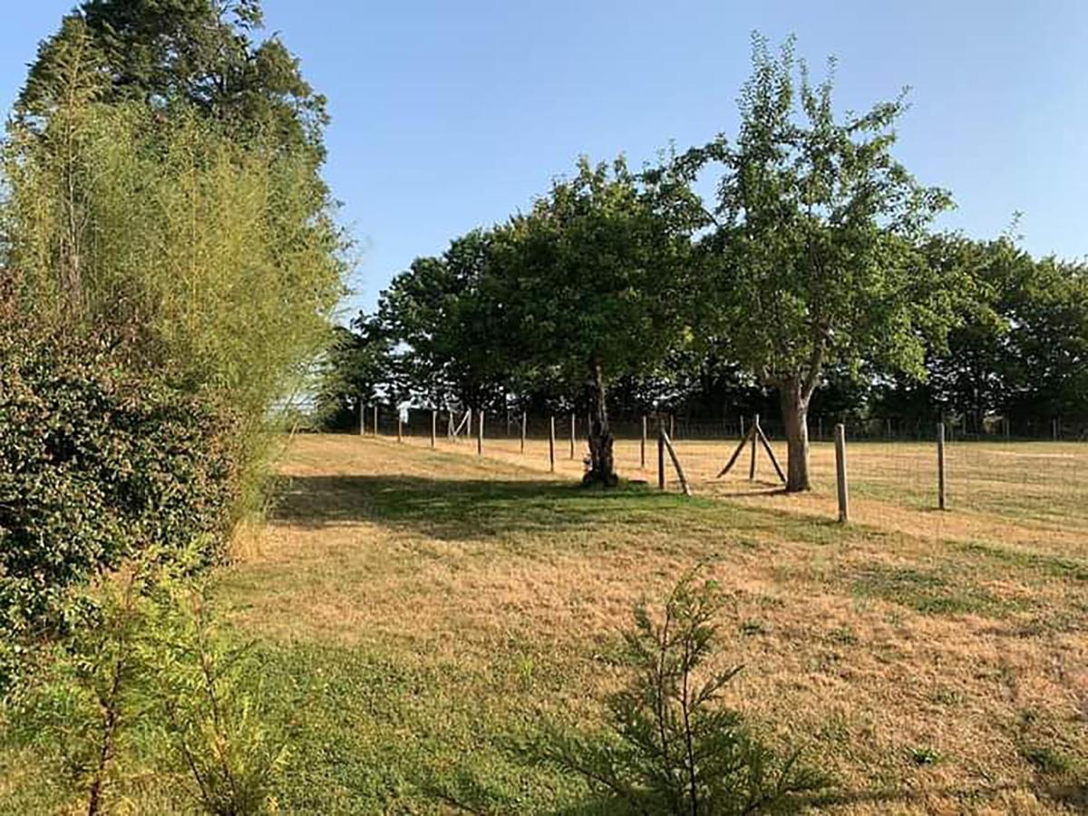 The Alpaca B&B Chalais  Exterior photo